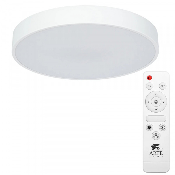 Потолочный светильник Arte Lamp ARENA A2661PL-1WH