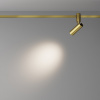 фото Трековый светильник Maytoni Technical Focus Led TR144-1-5W3K-W-BS, латунь