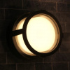 фото Уличный потолочный светильник Arte Lamp ULYSSES A6206PF-1BK
