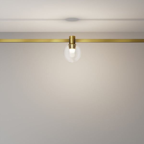 фото Трековый светильник Maytoni Technical Bubble TR148-1-3W4K-BS, латунь
