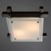 фото Потолочный светильник Arte Lamp ARCHIMEDE A6462PL-2CK
