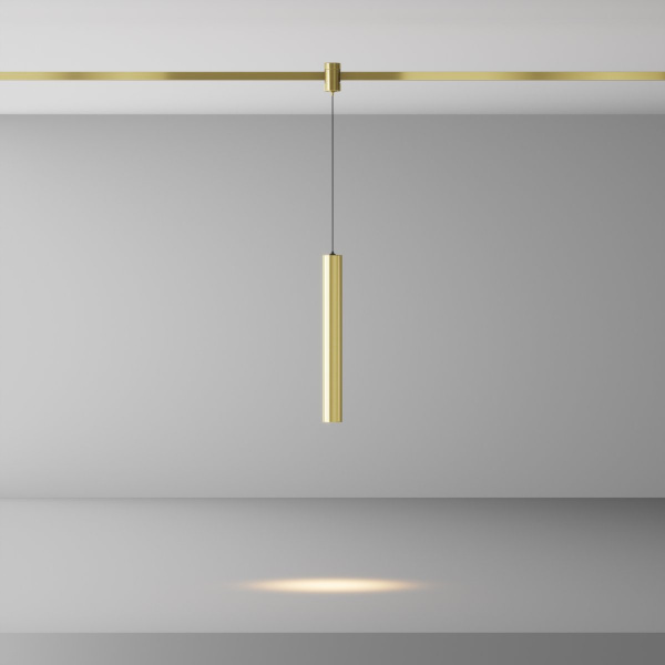фото Трековый светильник Maytoni Technical Focus Led TR155-1-5W3K-BS, латунь