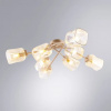 фото Потолочная люстра Arte Lamp AMFORA A2318PL-8SG