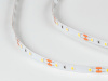 фото Лента светодиодная SWG DSG 2835 NW 60L-V12-IP33, 4000 K, 300 LED, 7,2W/m, LUX, катушка 5 м