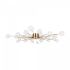 фото Потолочный светильник Freya Celebrity FR5242CL-24BS1, латунь