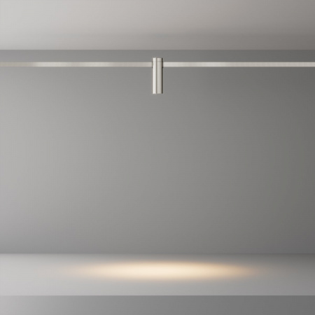 фото Трековый светильник Maytoni Technical Focus Led TR143-1-5W3K-W-PT, платина