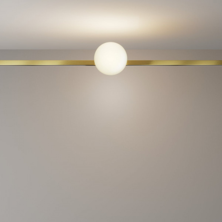 фото Трековый светильник Maytoni Technical Luna TR229-1-5W3K-BS, латунь