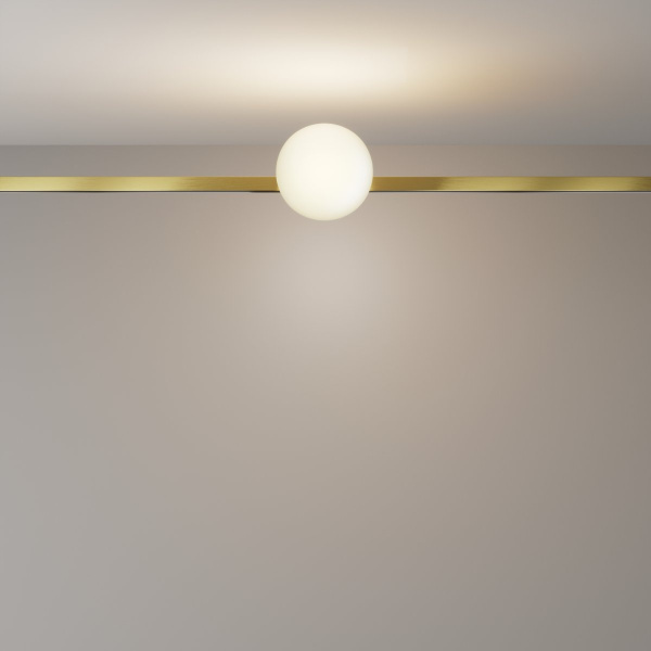 фото Трековый светильник Maytoni Technical Luna TR229-1-5W3K-BS, латунь