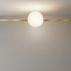 фото Трековый светильник Maytoni Technical Luna TR229-1-8W3K-BS, латунь