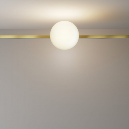 фото Трековый светильник Maytoni Technical Luna TR229-1-8W3K-BS, латунь
