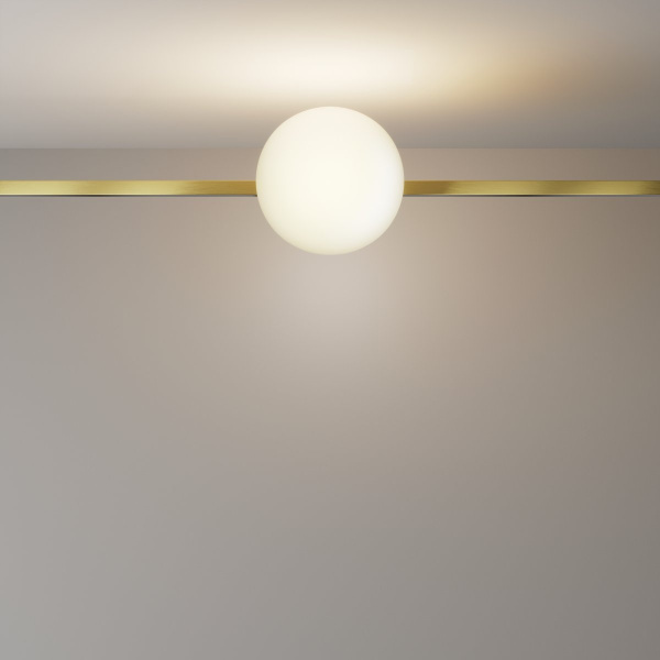 фото Трековый светильник Maytoni Technical Luna TR229-1-8W3K-BS, латунь