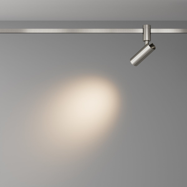 фото Трековый светильник Maytoni Technical Focus Led TR144-1-5W3K-W-PT, платина