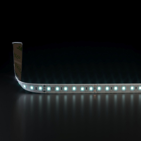Светодиодная лента 24 В 9,6 Вт/м 120 Led/м 2835 IP65, холодный белый 6500K, 5 м
