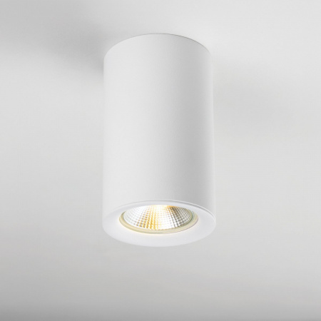 фото Насадка торцевая на светильник RULLO dia 60 mm Rullo, белый Lightstar 204436