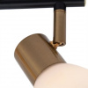 фото Спот Arte Lamp FALENA A3117PL-2BK