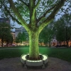 фото Прожектор LED(зеленый)  G5712  12W 15 ° IP65