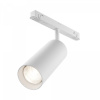 Трековый светильник Maytoni Technical Focus LED TR032-4-20WTW-M-DD2-W, белый
