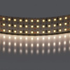 Лента белого свечения 24V Lightstar 423004