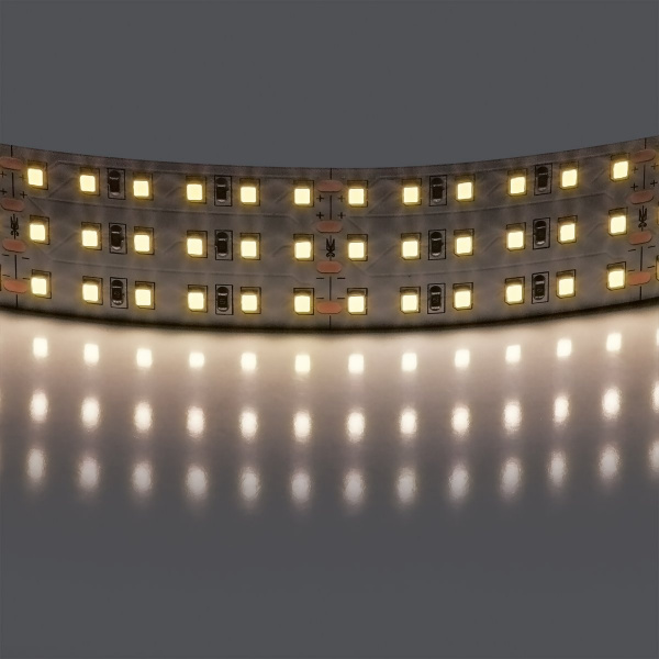Лента белого свечения 24V Lightstar 423004