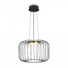 Подвесной светильник Freya Citrus FR5398PL-L8B, черный