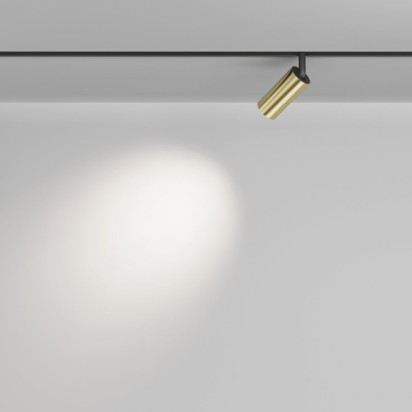 фото Трековый светильник Maytoni Technical Focus LED TR032-2-5W4K-M-BBS, черный