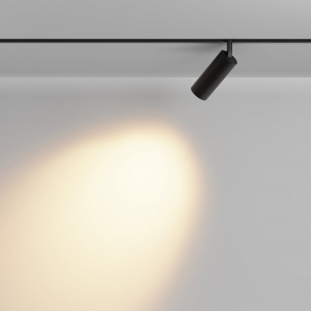 фото Трековый светильник Maytoni Technical Focus LED TR032-2-12W2.7K-M-B, черный