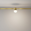 фото Трековый светильник Maytoni Technical Luna TR149-1-5W4K-BS, латунь
