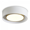 Потолочный светильник Freya Cozy FR6170CL-L52BS, латунь