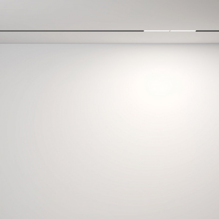 фото Трековый светильник Maytoni Technical Parete TR106-2-12W4K-B, черный