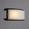 фото Настенный светильник Arte Lamp ARCHIMEDE A6462AP-1CK