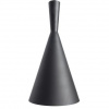 фото Подвесной светильник Arte Lamp CAPPELLO A3408SP-1BK