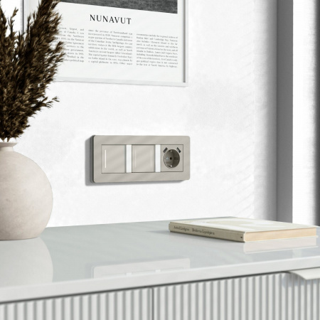 фото Умный сенсорный выключатель одноклавишный (дымчатый) W4513641