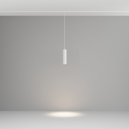 фото Трековый подвесной светильник Maytoni Technical Focus LED TR041-2-12W4K-W, белый