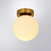 фото Настенно-потолочный светильник Arte Lamp ALCOR A2224PL-1PB