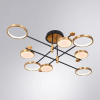 фото Потолочная люстра Arte Lamp HOLLY A1364PL-8PB