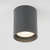 Уличный потолочный светильник Light LED 2104 IP54 35130/H серый
