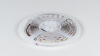 фото Лента светодиодная SWG DSG 3528 WW 60L-V12-IP33, 2700 K, 300 LED, 4,8 W/m, LUX, катушка 5 м