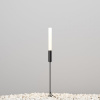 фото Ландшафтный светильник Maytoni Outdoor Flare O487FL-L3GF3K, графит