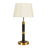 Декоративная настольная лампа Arte Lamp ROBERT A5066LT-1BK