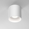 фото Накладной потолочный светильник 25034/LED, белый