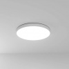 фото Потолочный светильник Arte Lamp FADO A6699PL-1WH