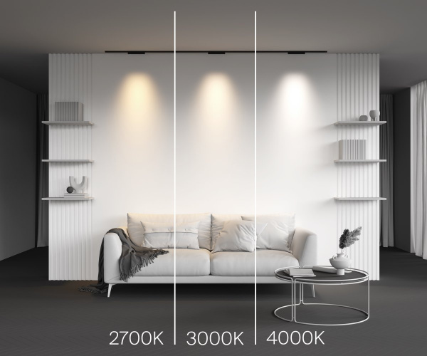 фото Трековый светильник Maytoni Technical Points TR193-1-10W2.7K-M-B, черный