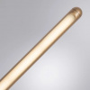 фото Декоративная подсветка Arte Lamp PRIMA A2028AP-1GO
