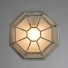 фото Уличный потолочный светильник Arte Lamp PEGASUS A3121PF-1WG