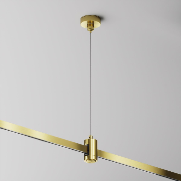 фото Подвес тросовый Hang одинарный Flarity латунь Maytoni Technical TRA157SW-S1-BS