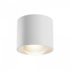 Потолочный светильник Maytoni Technical Lens C217CL-15W3K-W, белый