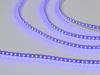 Светодиодная лента 3528, 120 LED/м, 9,6 Вт/м, 12В, IP20, Цвет: Синий, SWG3120-12-9.6-B-M, катушка 5 м