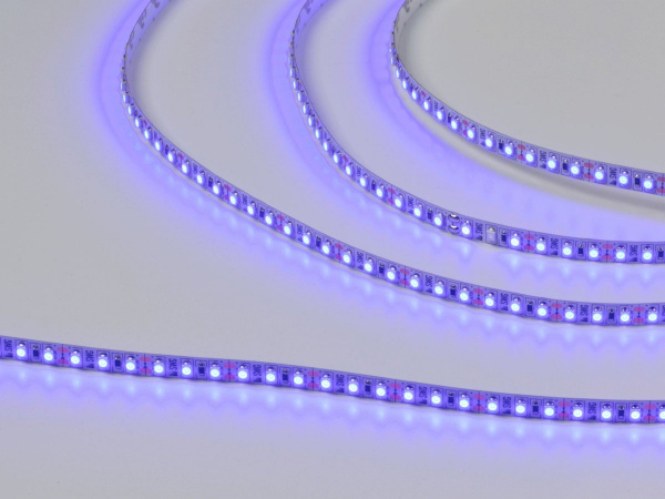 Светодиодная лента 3528, 120 LED/м, 9,6 Вт/м, 12В, IP20, Цвет: Синий, SWG3120-12-9.6-B-M, катушка 5 м