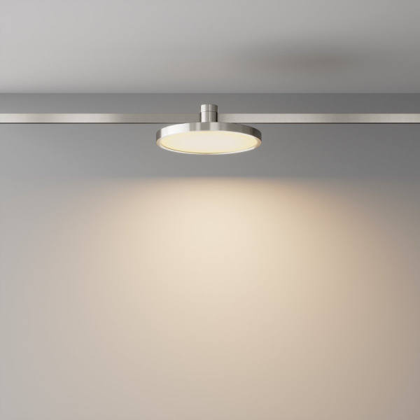 фото Трековый светильник Maytoni Technical Plato TR153-1-10W3K-PT, платина