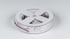 фото Лента светодиодная SWG 4x DSG 2835 DW 280L-V24-IP33, 4000 K, 700LED, 26W/m, 2500*36*2 mm, LUX, катушка 2.5 м